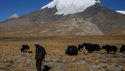 Persecución en China: el régimen está acelerando la urbanización forzada de los tibetanos rurales