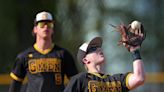 Field, Garfield, Mogadore, Southeast baseball snag top-10 seeds in OHSAA tournament