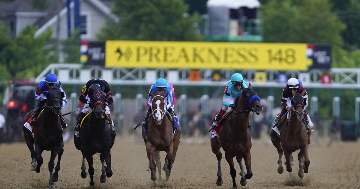 Post time: A closer look at undercard for Preakness Saturday