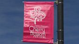 Cherry Blossom Festival brings in $6.1 million economic impact to Macon - 41NBC News | WMGT-DT