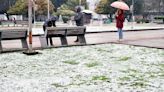 Pronóstico de nieve para este viernes: Conoce las zonas donde se esperan nevazones