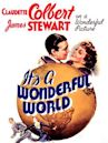 It's a Wonderful World (1939 film)