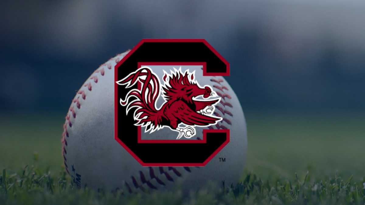 South Carolina baseball team drops second straight game to Georgia