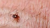 What to know about Heartland virus, a new tick-borne disease spreading through the Midwest and southern US