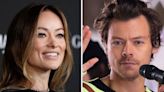 Harry Styles and Olivia Wilde 'split' after nearly two years together