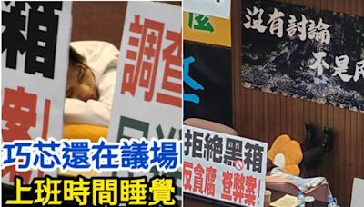 徐巧芯嗆帶睡袋進議場 洪申翰反貼她「睡到四腳朝天」照：是在靠ㄅㄟˋ嗎？