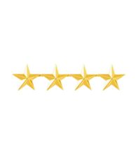 4 Gold Stars | distinctiverecognition.com