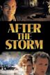 After the Storm (2001 film)