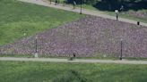 37,000 flags in place on Boston Common as part of 2024 Memorial Day Weekend display - Boston News, Weather, Sports | WHDH 7News