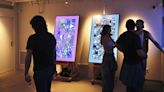 Cannabis and Code: Generative Art Show Takes Over NYC's 'Luxury' Dispensary