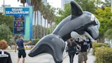 El Miami Seaquarium pide al Gobierno de Miami que anule su aviso de desalojo