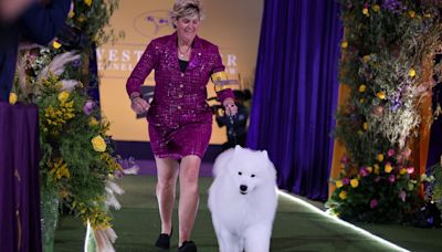 Tommy Tomlinson’s ‘Dogland’ is about the Westminster Dog Show. Beneath the surface, it’s about connection