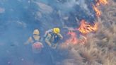 Incendio en Córdoba: más de 5.500 hectáreas fueron arrasadas por las llamas