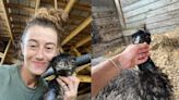 Experts are warning the owner of a TikTok-famous emu against kissing and cuddling the bird after she said he had avian flu, calling it 'extremely dangerous'