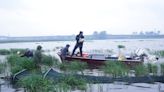 Wetlands were everywhere on the Great Lakes, how one project is helping save them