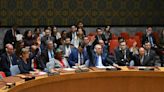 Amplia aprobación internacional de la resolución de la ONU