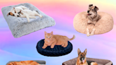 Dogs and cats agree: these are the best pet beds on Amazon