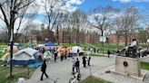 The Surreal Difference Between Harvard and Columbia Protests
