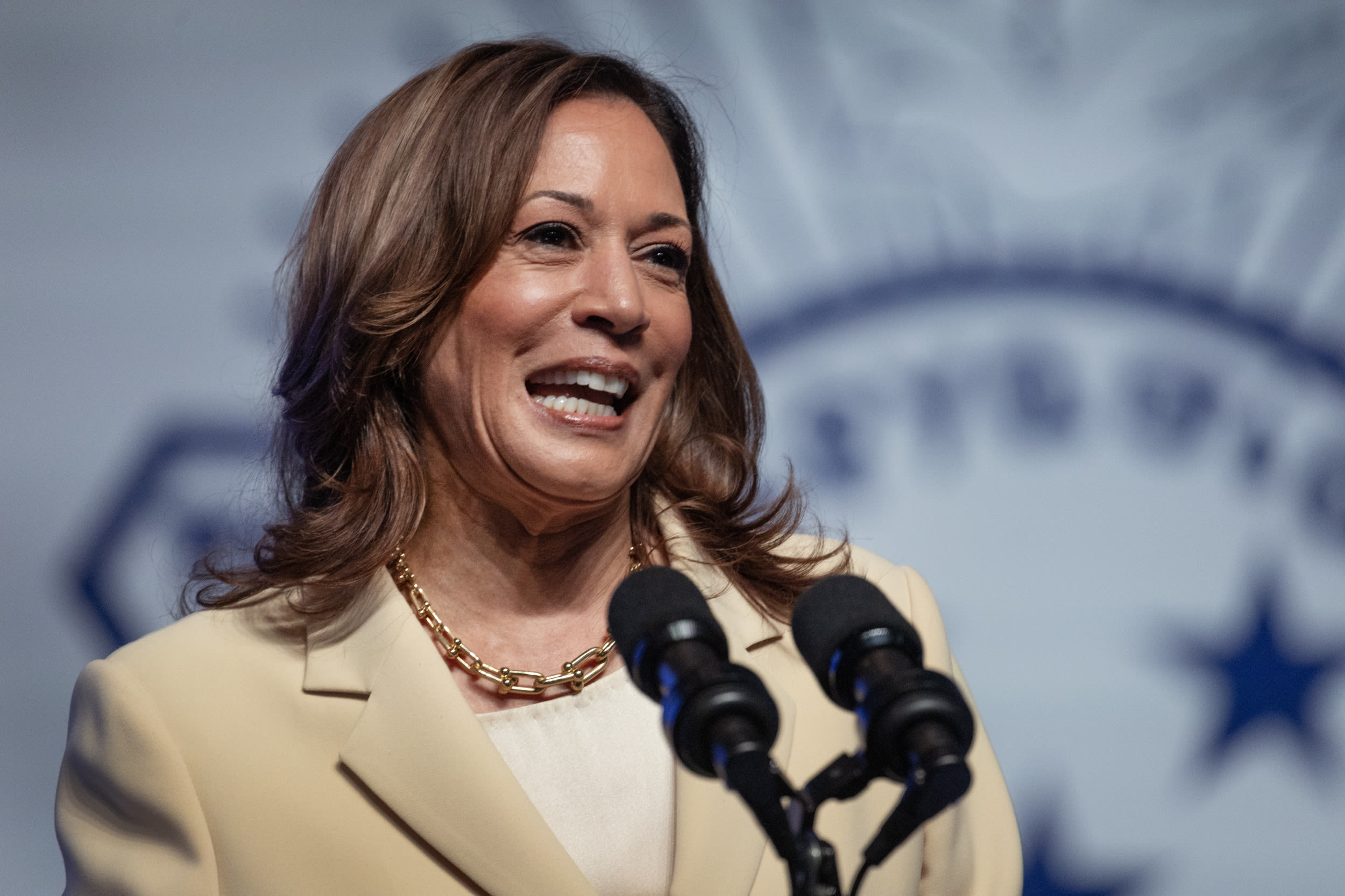 Kamala Harris VP update as candidates drop out of the running