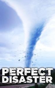 Perfect Disaster