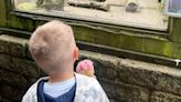 I took my kids to a UK hidden gem hardly anyone has heard of - I only spent £10