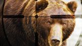 Minnesota bear hunting applications due May 3