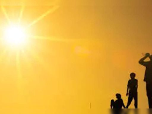 Heatwave Continues In Pb, Hry | Chandigarh News - Times of India