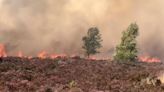 Fire safety warning issued as blaze breaks out at Hankley Common in Surrey