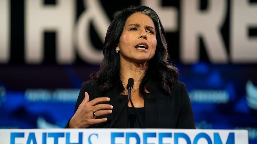 Tulsi Gabbard: Cheneys’ endorsements, Harris’s response ‘sickened me’