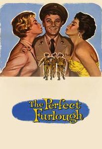 The Perfect Furlough