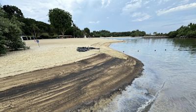 旅遊景點聖淘沙海灘 遭油污污染 (圖)