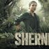 Sherni (2021 film)