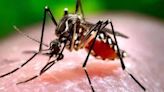 Tripura: Health department to launch door-to-door malaria surveillance in remote areas - ET HealthWorld