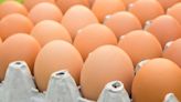 Quieren incluir un etiquetado frontal en huevos para saber si provienen de gallinas enjauladas