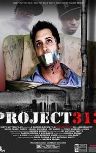 Project 313