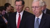 'We’re pretty well rudderless': GOP senators scrambling as McConnell heads for the door