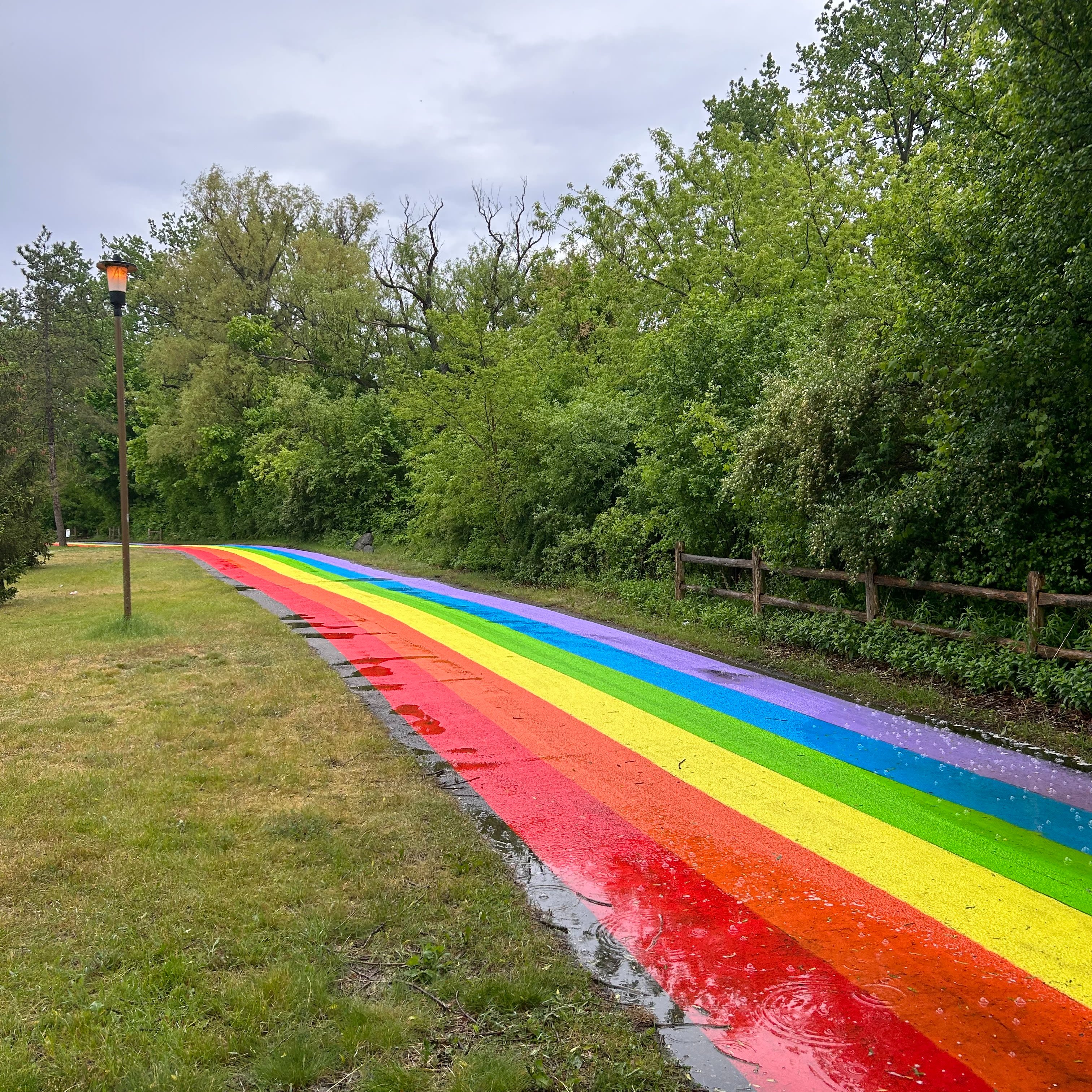 A walk towards freedom: World's longest rainbow unveiled in Toronto ahead of Pride month