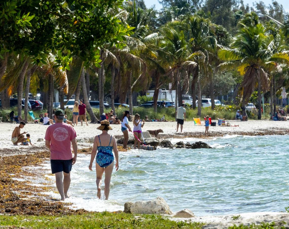 Are you sneezing your head off? Why Miami and other Florida cities are suffering