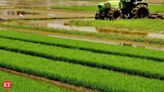 Budget's focus on agri-research may help reduce production shocks - The Economic Times