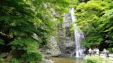 大阪箕面公園散步一日遊～箕面大瀑布、炸楓葉、逛寺廟等活動可享受