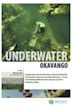 Underwater Okavango