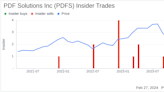 Director Ye Li Sells 11,184 Shares of PDF Solutions Inc (PDFS)