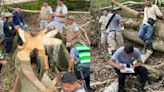 Los efectos de la Ley Antiforestal: destruyen más de 1.000 hectáreas de bosques en área natural protegida en San Martín