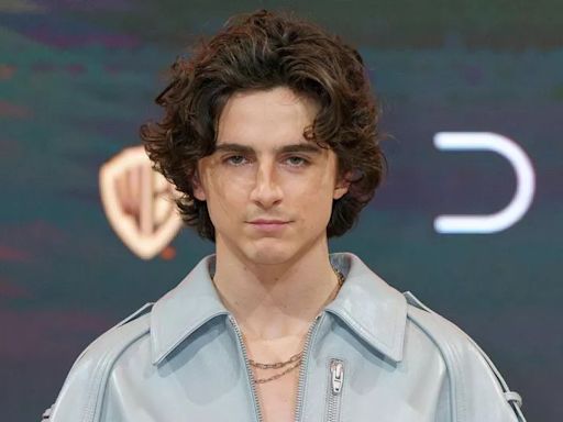 Timothée Chalamet's new movie revealed - and it's all about ping pong