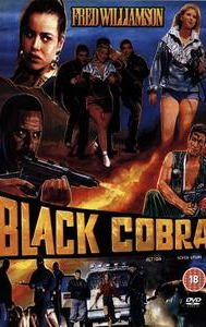 The Black Cobra