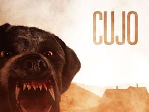 Cujo (film)