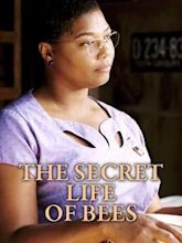 The Secret Life of Bees (film)