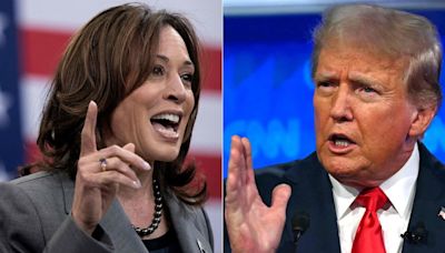 Kamala Harris supera con un punto a Donald Trump en las encuestas para las elecciones presidenciales en Estados Unidos