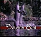 Dolphin Cove (TV series)