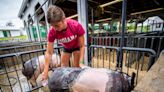 Businesses, family help county fair pay to process 4-H animals donated to charities